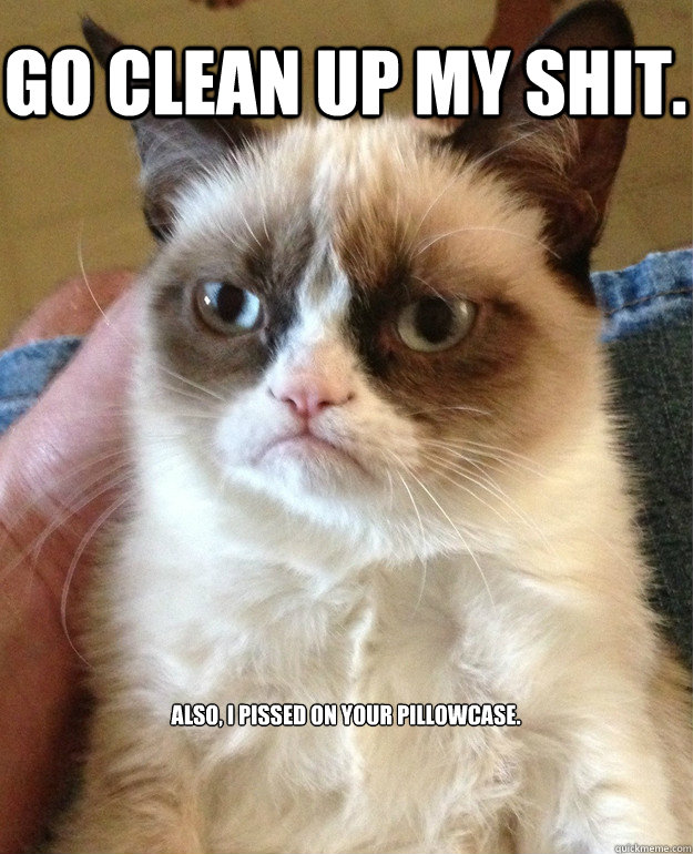 GO CLEAN UP MY SHIT. Also, I pissed on your pillowcase.  Grumpy Cat