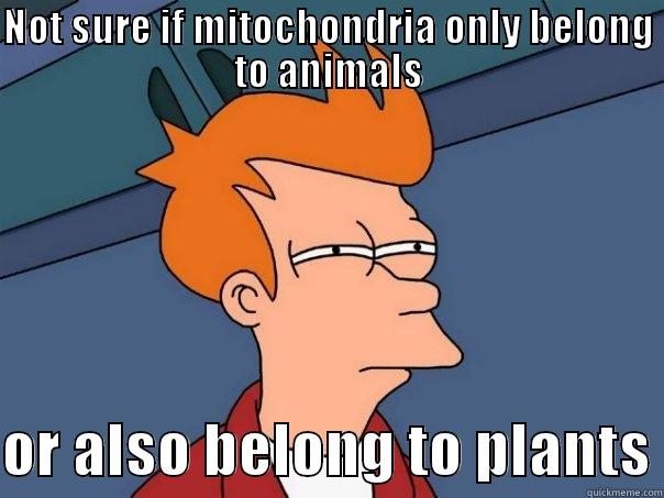 Not sure - NOT SURE IF MITOCHONDRIA ONLY BELONG TO ANIMALS  OR ALSO BELONG TO PLANTS Futurama Fry