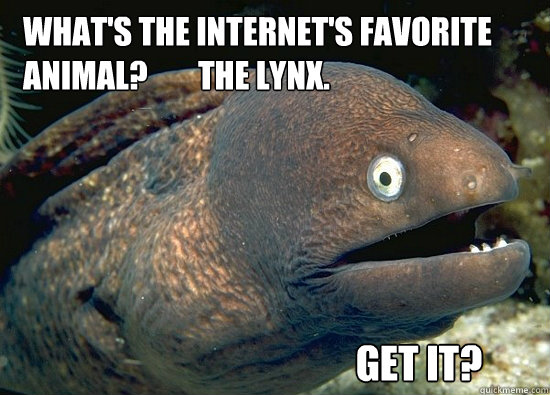 What's the Internet's favorite animal?        The Lynx. Get it? - What's the Internet's favorite animal?        The Lynx. Get it?  Joke Telling Eel