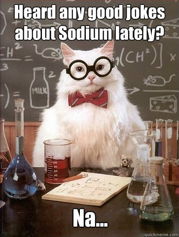 Heard any good jokes about Sodium lately? Na...  Chemistry Cat