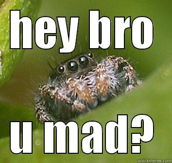 Funny spider - HEY BRO U MAD? Misunderstood Spider