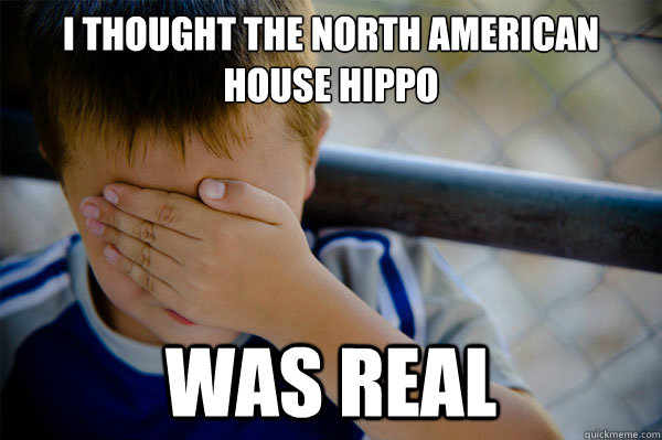 I thought the north american house hippo was real - I thought the north american house hippo was real  Misc