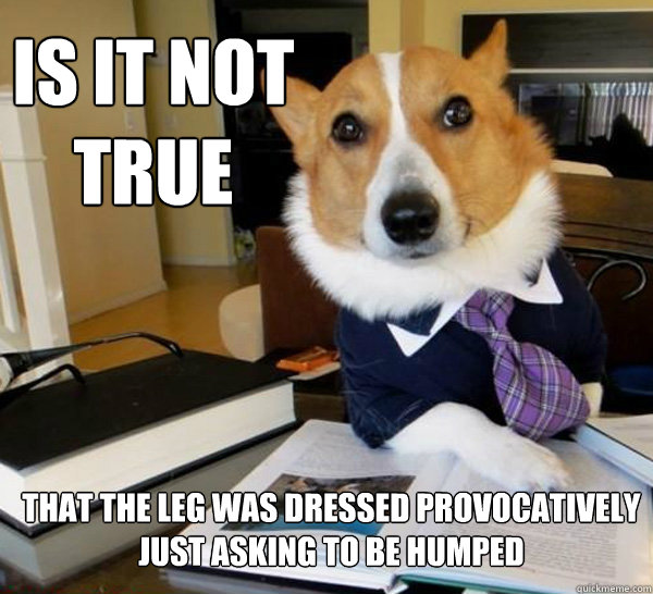 Is it not true that the leg was dressed provocatively
just asking to be humped  Lawyer Dog