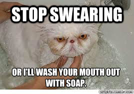 STOP SWEARING or I'll wash your mouth out with soap. - STOP SWEARING or I'll wash your mouth out with soap.  Wet Cat Swears