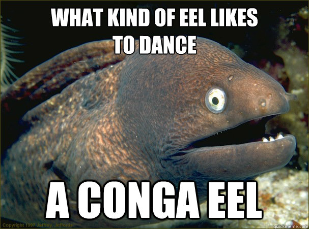 What kind of eel likes 
to dance a conga eel  Bad Joke Eel