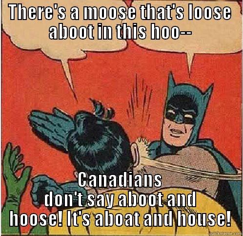 THERE'S A MOOSE THAT'S LOOSE ABOOT IN THIS HOO-- CANADIANS DON'T SAY ABOOT AND HOOSE! IT'S ABOAT AND HOUSE! Batman Slapping Robin