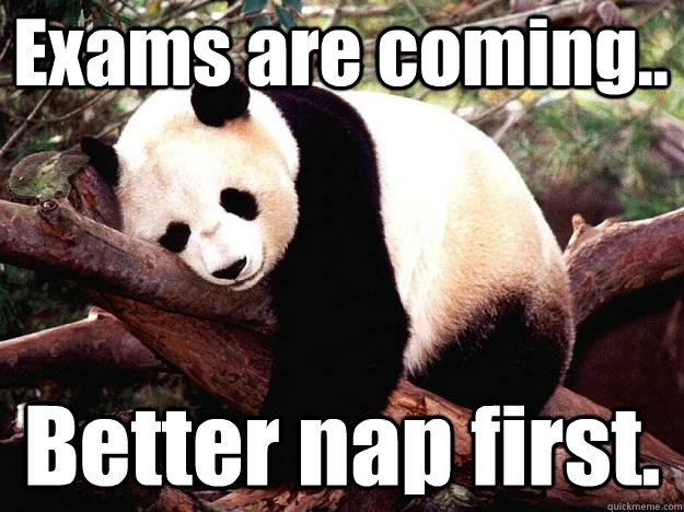 Exams are coming.. Better nap first.  Procrastination Panda