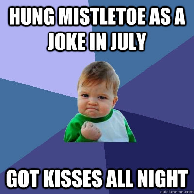 Hung mistletoe as a joke in july Got kisses all night  Success Kid