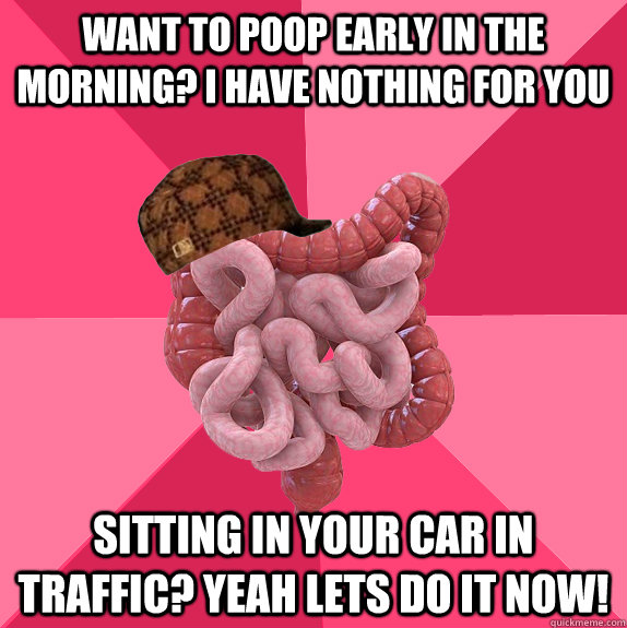 Want to poop early in the morning? I have nothing for you Sitting in your car in traffic? Yeah lets do it now!  Scumbag Intestines