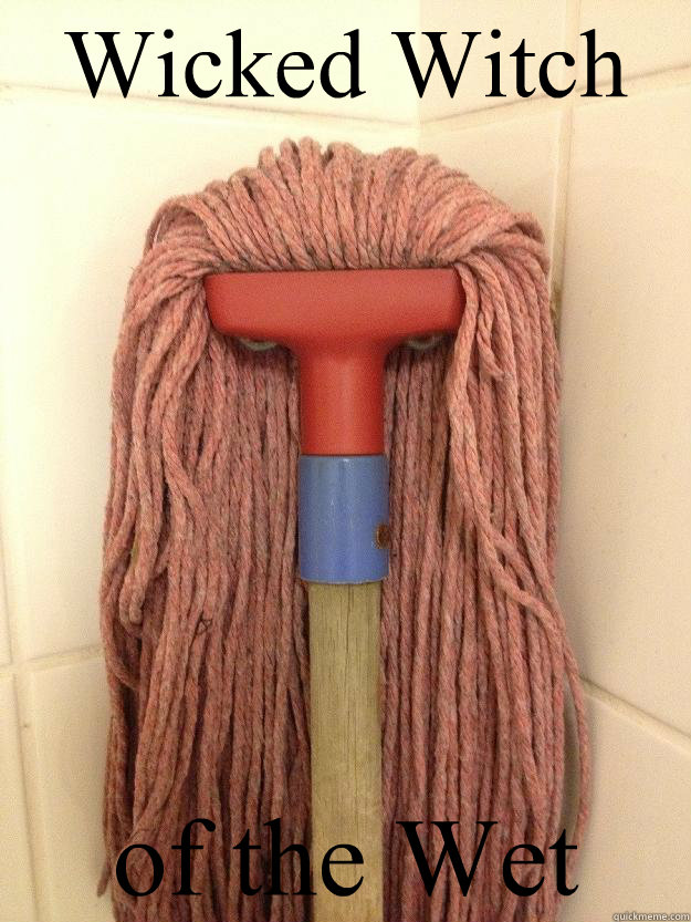 Wicked Witch of the Wet  Insanity Mop