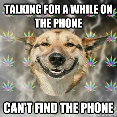 talking for a while on the phone  can't find the phone  Stoner Dog