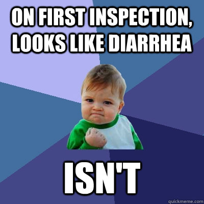 On first inspection, looks like diarrhea isn't  Success Kid