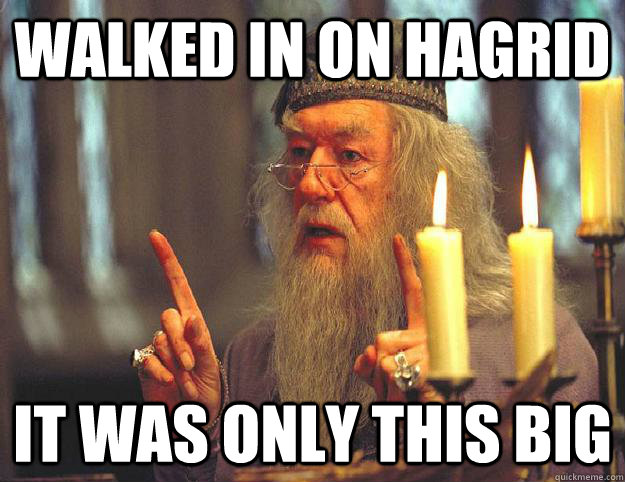 walked in on hagrid it was only this big - walked in on hagrid it was only this big  Scumbag Dumbledore