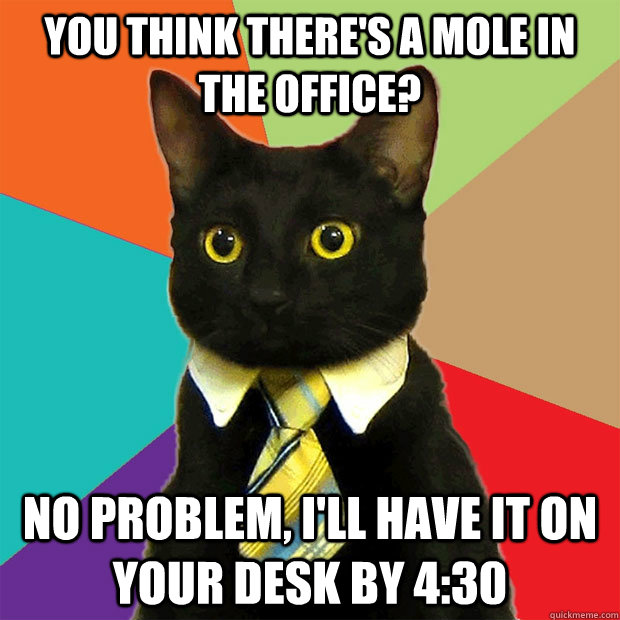 You think there's a mole in the office? No problem, I'll have it on your desk by 4:30  Business Cat