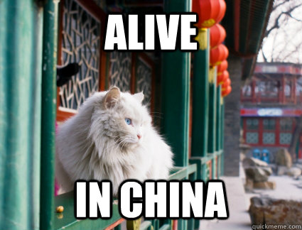 alive  in china  