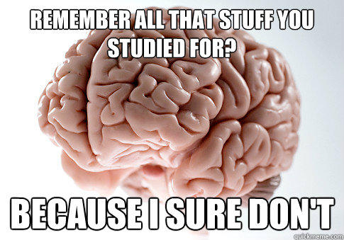 Remember all that stuff you studied for? Because I sure don't  Scumbag Brain