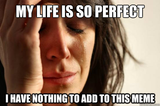 My life is so perfect i have nothing to add to this meme - My life is so perfect i have nothing to add to this meme  First World Problems