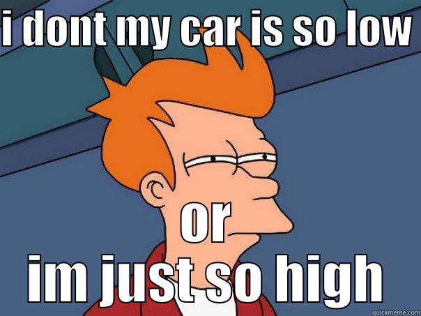 I DONT MY CAR IS SO LOW  OR IM JUST SO HIGH Futurama Fry