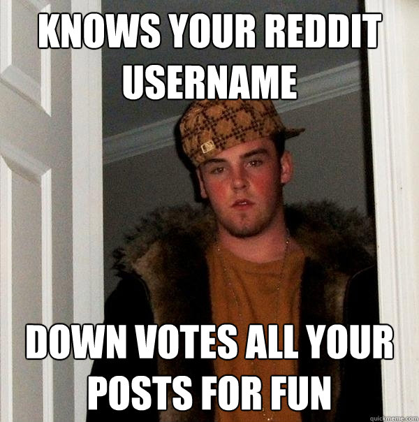 Knows your Reddit username Down votes All your posts for fun  Scumbag Steve