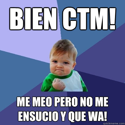 Bien CTM! Me meo pero no me ensucio y que wa!  Success Kid