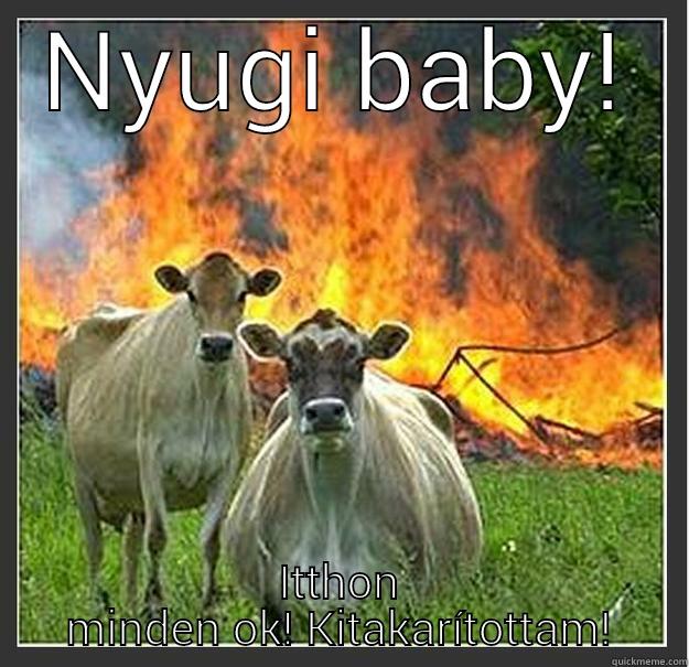 NYUGI BABY! ITTHON MINDEN OK! KITAKARÍTOTTAM! Evil cows