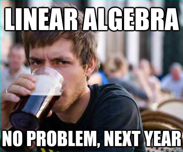 Linear Algebra No problem, next year  Lazy College Senior