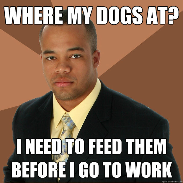 Where my dogs at? I need to feed them before I go to work  Successful Black Man