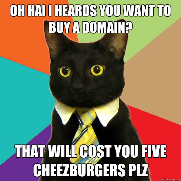 oh hai i heards you want to buy a domain? that will cost you five cheezburgers plz  Business Cat