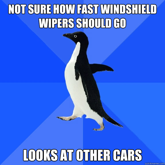 Not sure how fast windshield wipers should go Looks at other cars - Not sure how fast windshield wipers should go Looks at other cars  Socially Awkward Penguin