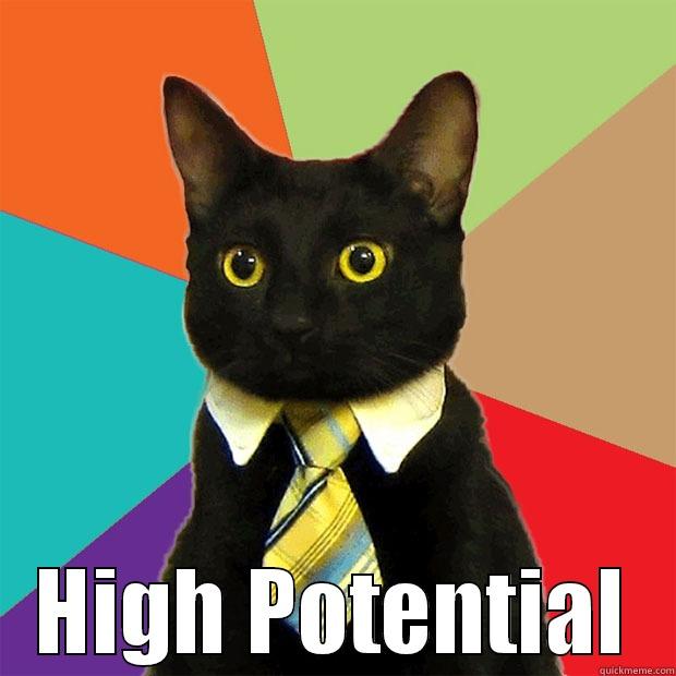 High Potential -  HIGH POTENTIAL Business Cat