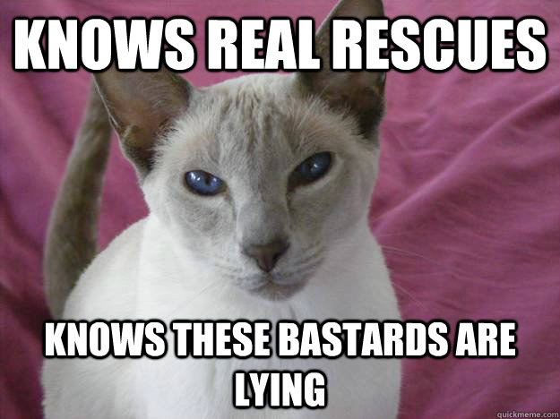 knows real rescues knows these bastards are lying  