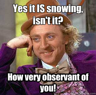 Yes it IS snowing, isn't it? How very observant of you! - Yes it IS snowing, isn't it? How very observant of you!  Condescending Wonka