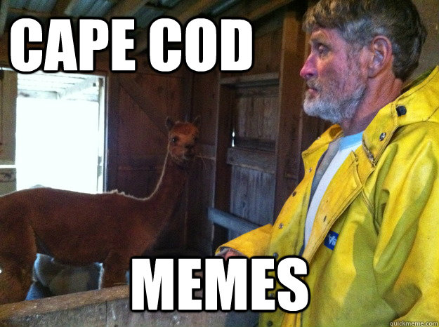 Cape Cod Memes - Cape Cod Memes  Cape Cod Memes