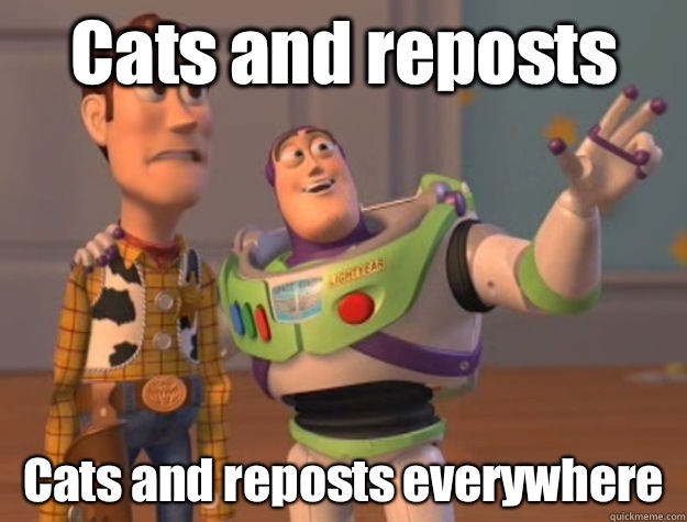 Cats and reposts Cats and reposts everywhere  Buzz Lightyear