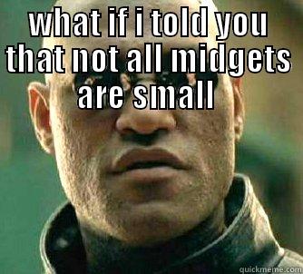 WHAT IF I TOLD YOU THAT NOT ALL MIDGETS ARE SMALL   Matrix Morpheus