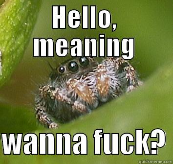 HELLO, MEANING  WANNA FUCK? Misunderstood Spider