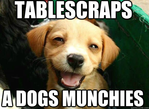 Tablescraps A dogs munchies  