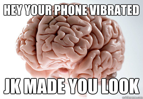 Hey your phone vibrated Jk made you look  Scumbag Brain