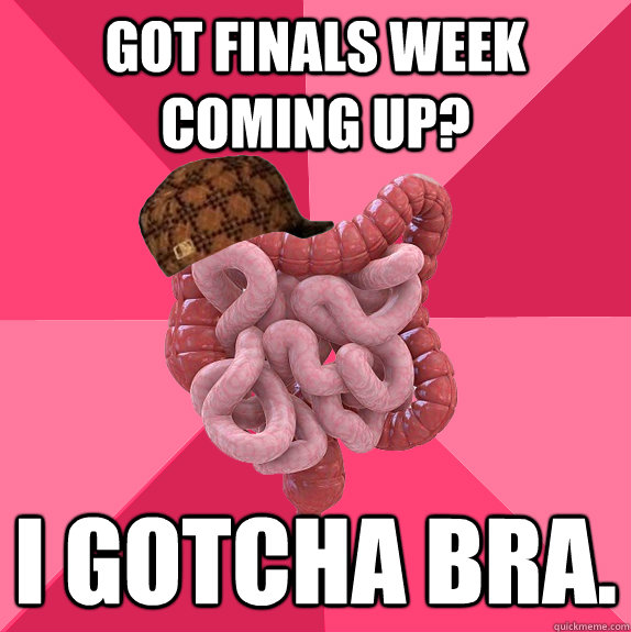 Got finals week coming up? I gotcha bra.  Scumbag Intestines