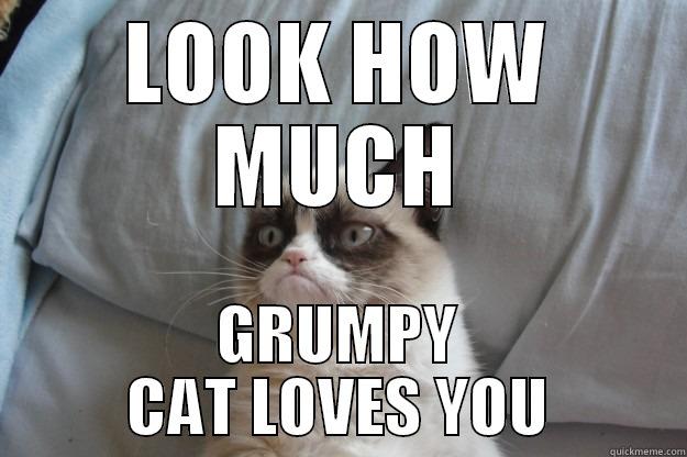 LOOK HOW MUCH GRUMPY CAT LOVES YOU Grumpy Cat