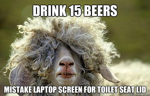 Drink 15 beers mistake laptop screen for toilet seat lid  