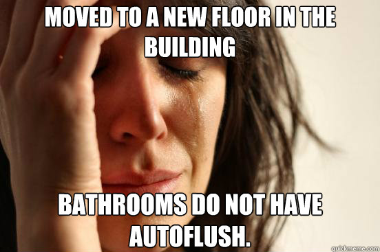moved to a new floor in the building bathrooms do not have autoflush. - moved to a new floor in the building bathrooms do not have autoflush.  First World Problems