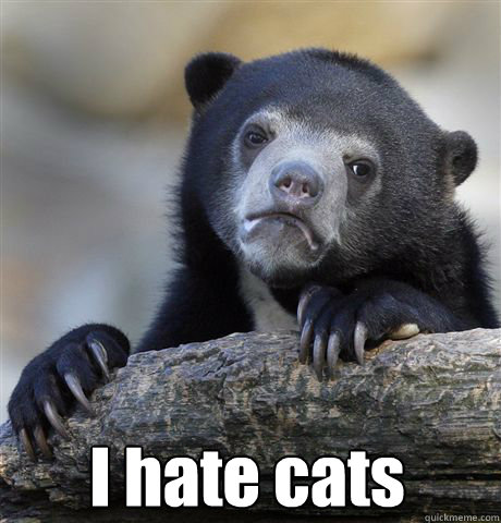  I hate cats  Confession Bear