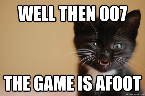 well then 007 the game is afoot - well then 007 the game is afoot  Nemesis Cat