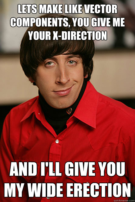 Lets make like vector components, you give me your x-direction And i'll give you my wide erection  Pickup Line Scientist