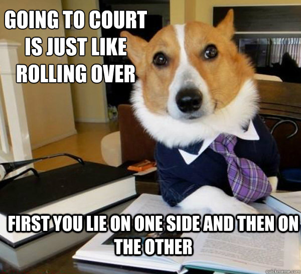 Going to court is just like rolling over First you lie on one side and then on the other  Lawyer Dog