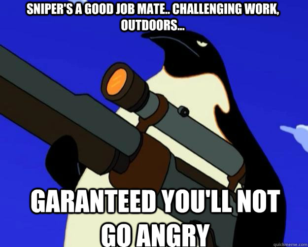 Garanteed you'll not go angry Sniper's a good job mate.. Challenging work, outdoors...  SAP NO MORE