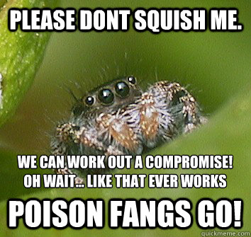 please dont squish me. POISON FANGS GO! we can work out a compromise! oh wait... like that ever works  Misunderstood Spider