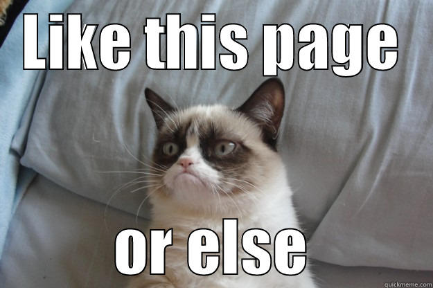 Like this page - LIKE THIS PAGE OR ELSE Grumpy Cat