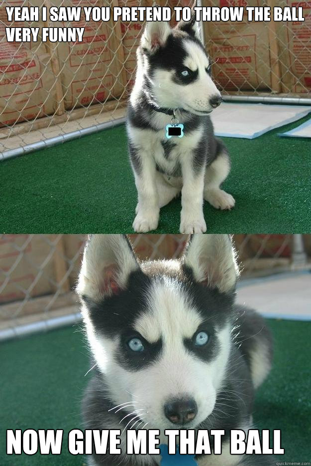 Yeah I saw you pretend to throw the ball
very funny 

now give me that ball  Insanity puppy